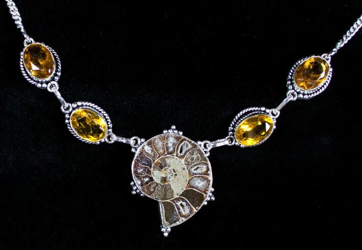 Fossil Ammonite Necklace #3589